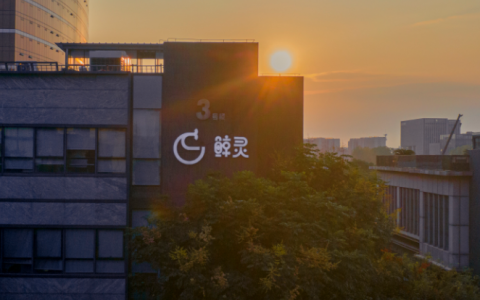 鲸灵集团：社交电商“批发商”