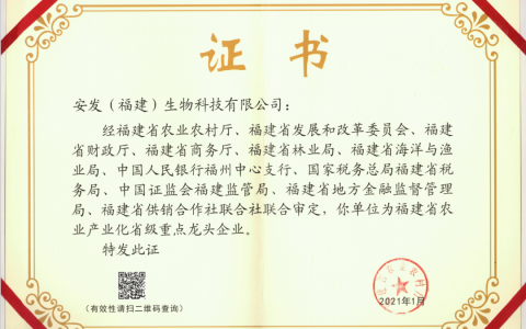 又获奖，安发再次荣膺两项省级重要荣誉！
