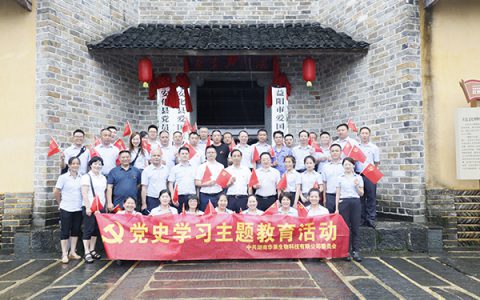 华莱党委组织召开党史学习教育活动