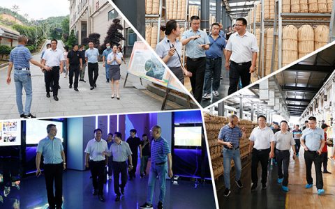 普洱市思茅区来安化学习交流活动在安举行