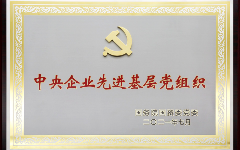 新时代公司党组织和党员荣获上级集团表彰