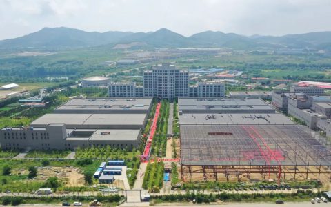 离竣工又近一步，双迪桃花卫生防疫用品生产基地上梁仪式圆满举行