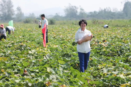 2021完美健康食品南瓜溯源研习班湖北举行