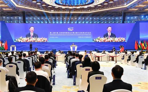 绿之韵胡国安受邀出席第二届中非经贸博览会