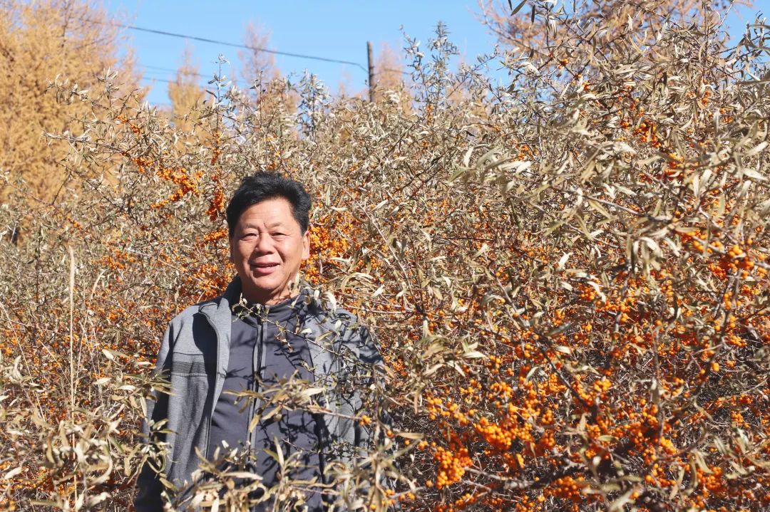 走进神奇沙棘·共话健康中国——宇航人沙棘健康产业高峰论坛圆满闭幕！