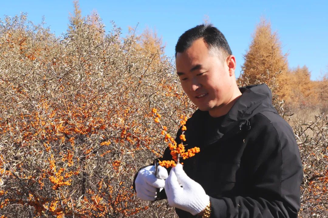 走进神奇沙棘·共话健康中国——宇航人沙棘健康产业高峰论坛圆满闭幕！