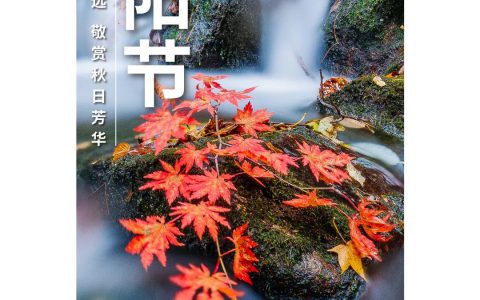 和治友德：九九重阳节，老年养生有“秘诀”