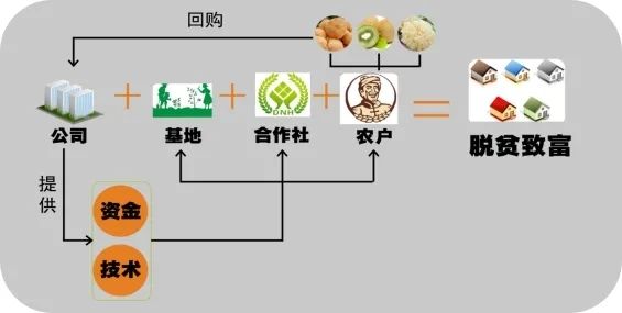 安发(古田)生态科技园系列之十 “安发模式”促农业增产农民增收