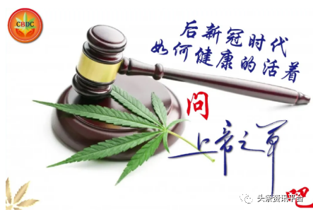 揭底借疫情防控名义进行虚假宣传的CS健康产业集团，“上帝之草”有何底气自称“抗癌神药”？