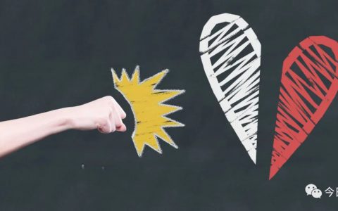 核查结果披露前，安永、维善优“挂靠”合作告吹