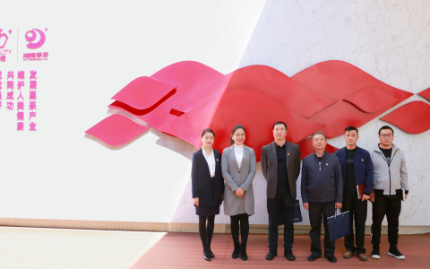 中共云南省工商业联合会领导莅临理想华莱，指导党务工作开展