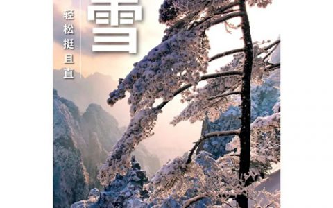 和治友德 | 大雪万物潜藏 养生关注补肾