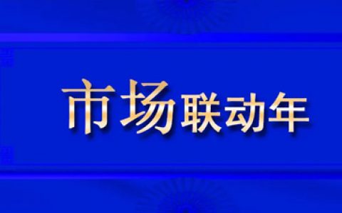 2021双迪股份总结报告书——市场联动篇