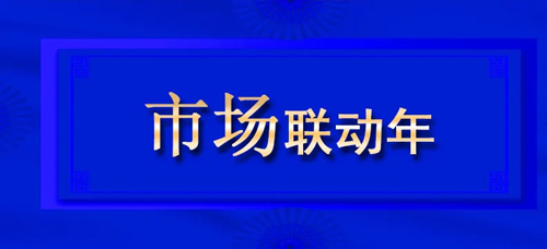 2021双迪股份总结报告书——市场联动篇