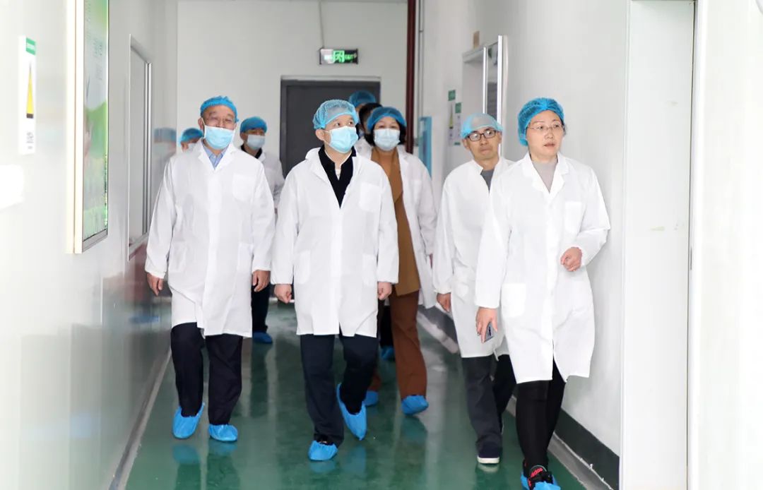 中共长沙市委常委、统战部部长何朝晖一行莅临绿之韵集团调研指导