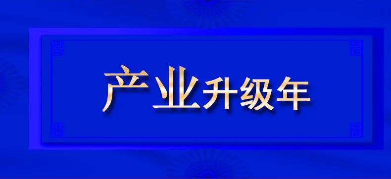 2021双迪股份总结报告书| 产业升级篇