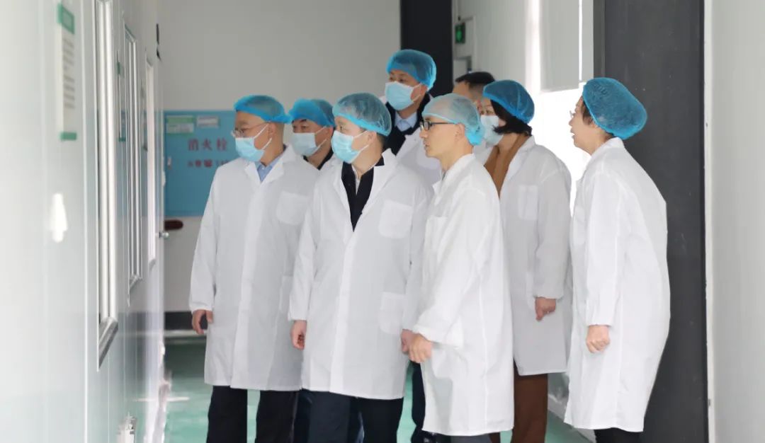 中共长沙市委常委、统战部部长何朝晖一行莅临绿之韵集团调研指导
