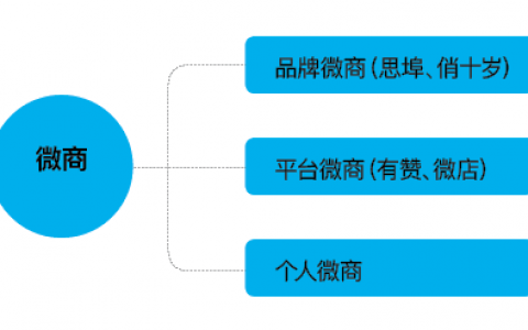2021年度社交零售十大产业发展报告——微商