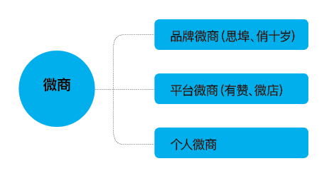 2021年度社交零售十大产业发展报告——微商