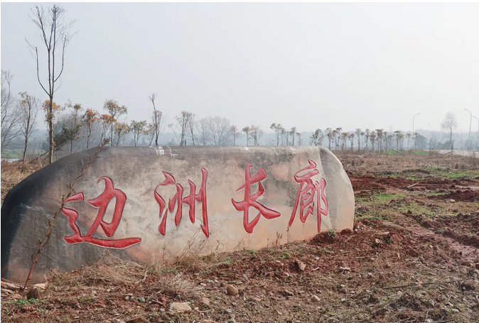 绿之韵乡村振兴建设暨新春慰问活动再次走进浏阳边洲村