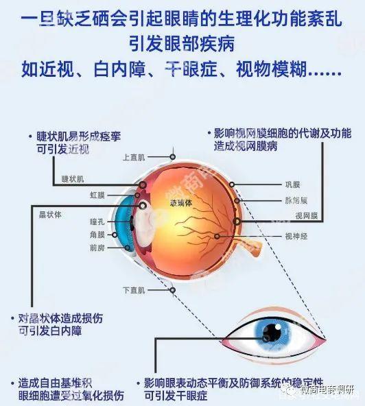 倍视美护眼液声称可改善多种眼疾，械字号产品涉嫌超范围宣传