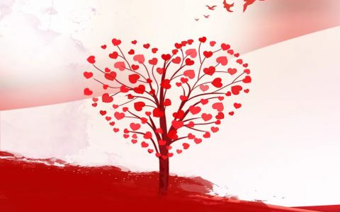 尚赫：新的一年，这件事我们一起做！