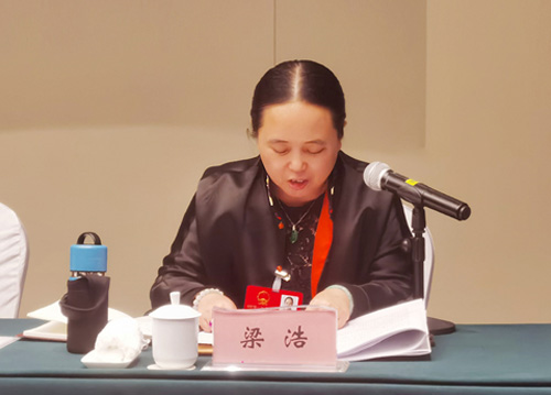 安然梁浩出席威海市第十八届人大第一次会议