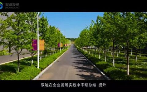双迪的“标签”你知道哪些？视频观看走进双迪