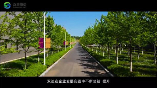 双迪的“标签”你知道哪些？视频观看走进双迪