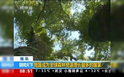绿色成长力量——安然第四届公益植树活动即将开启！