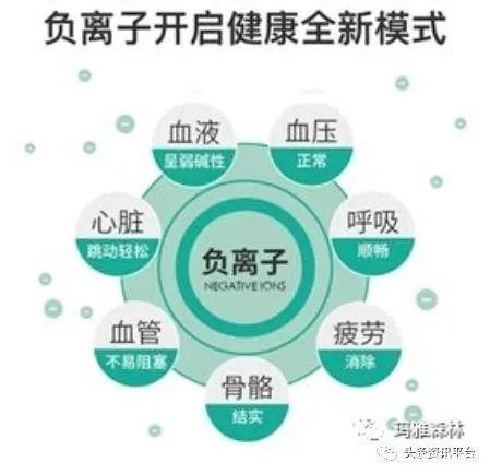 负离子当真属于伪科学？玛雅森林的“服务商合伙制”有何特色