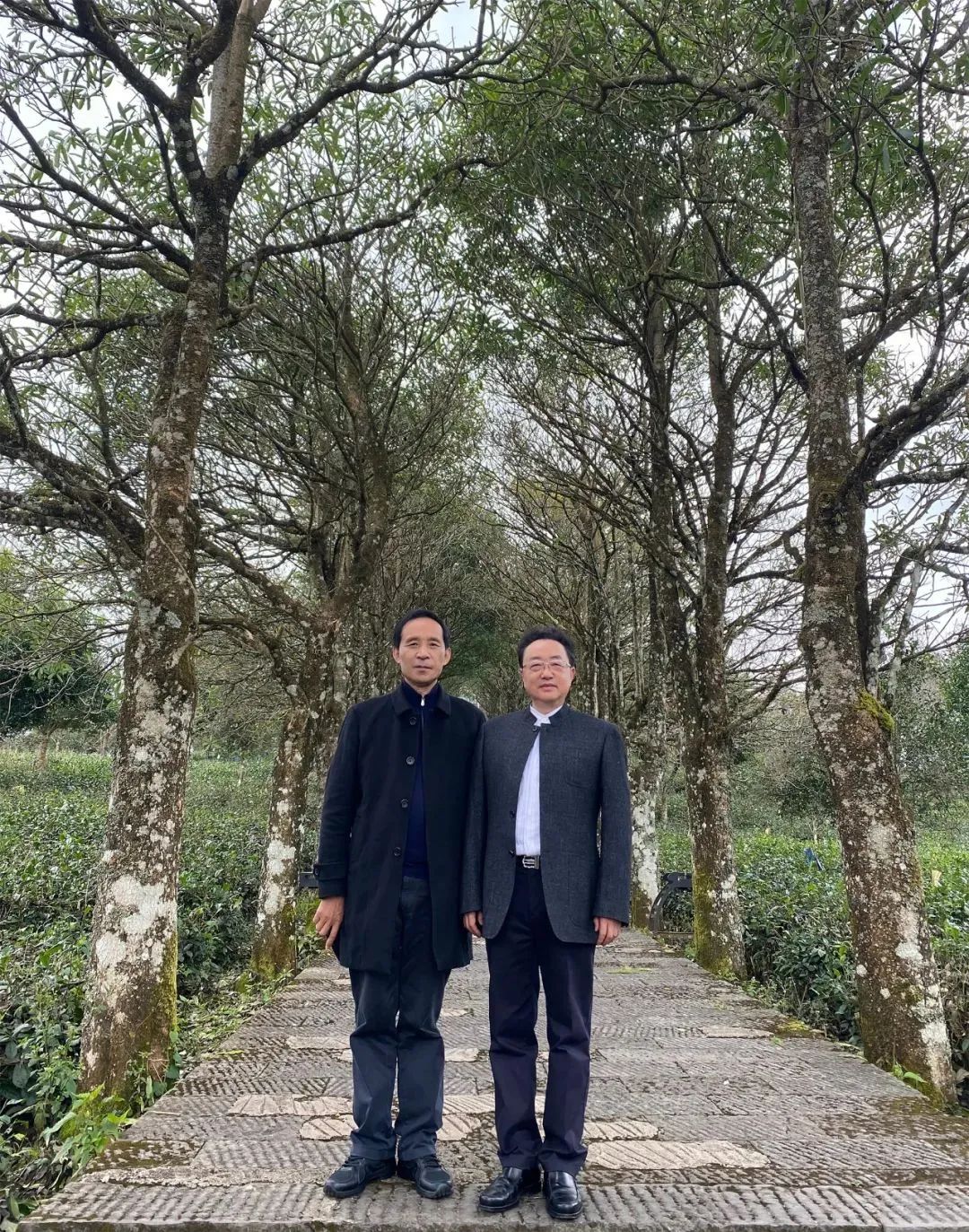 理想华莱 未来已来——理想华莱云南营销中心首场培训交流会，在思茅开启！