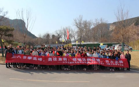 福瑞达生物生产基地举行三八节登山活动