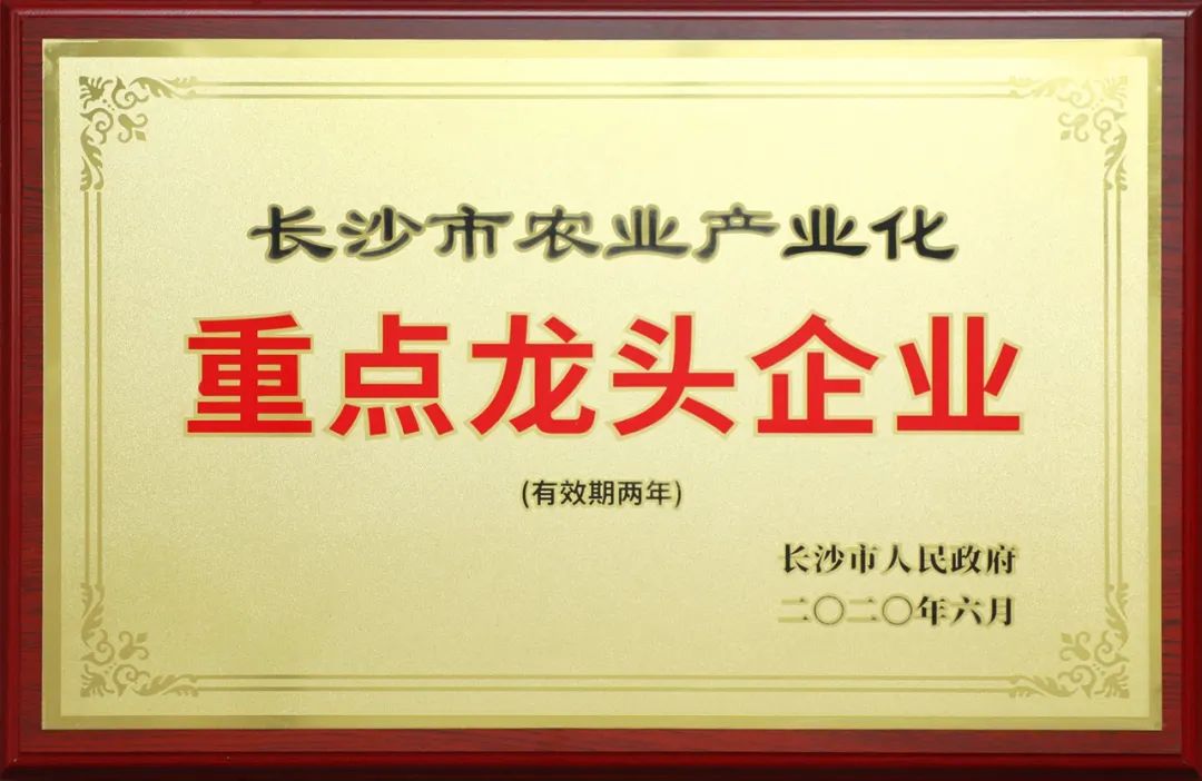 长沙市人大常委会副主任李平一行莅临绿之韵调研