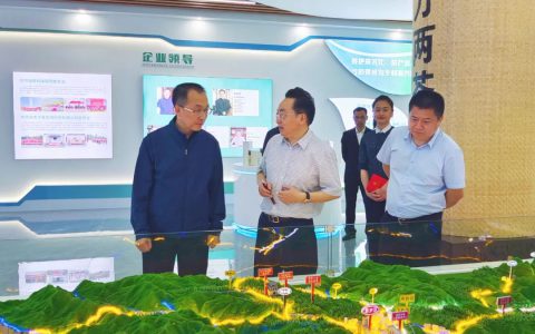 普洱市委书记李庆元、普洱市政府常务副市长李旭东莅临理想华莱云南营销中心调研