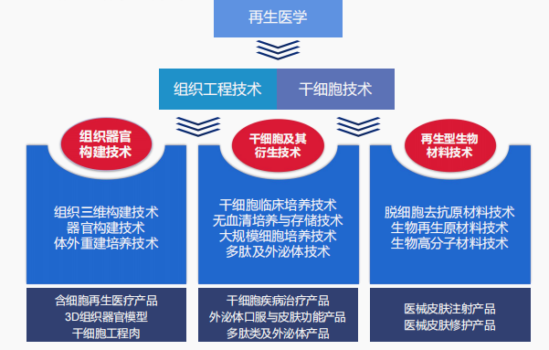 海之圣全球战略驶入快车道 全球科研加速成型，全球营销日益增强
