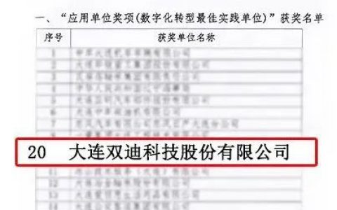 “智”造突围，双迪再获大奖！