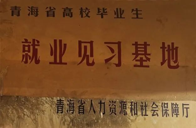 访企拓岗促就业|青海大学刘玉皎副校长一行到访金诃藏药