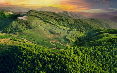 跟随理想华莱的镜头，欣赏思茅35万亩茶园美景