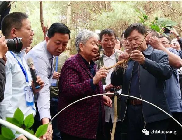 康美药业（昆明）种质资源有限公司参加云南中药材产业绿色发展论坛