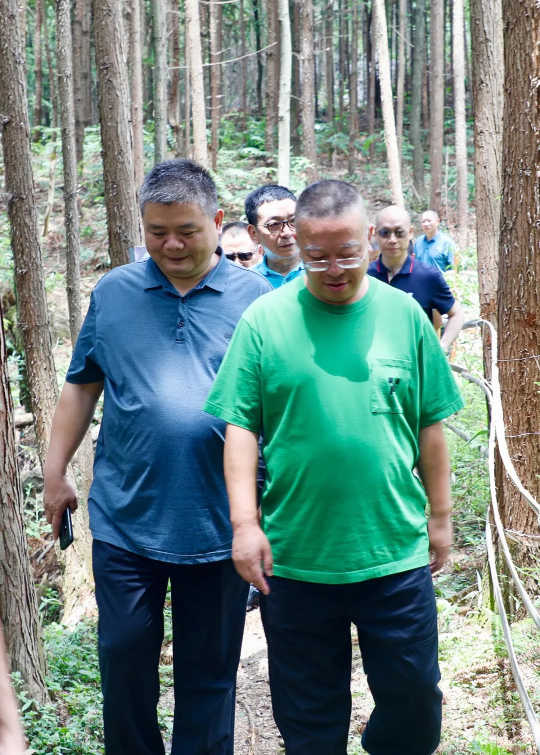 助力乡村振兴｜绿之韵胡国安董事长应邀出席第四届“湖南黄精”高峰论坛暨“安化黄精”推介会