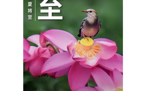 和治友德|夏至养生：危害健康七不要 科学养生四原则