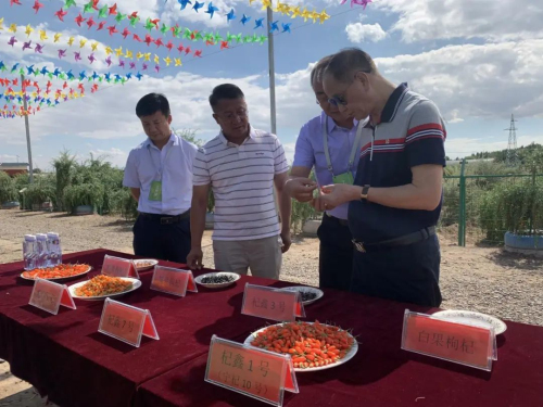 安发高益槐出席宁夏第五届枸杞产业博览会