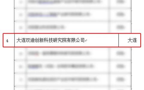 喜报！双迪再获新荣誉！