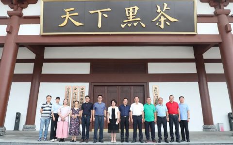 尽职履责 助力乡村振兴 | 胡国安董事长陪同长沙市人大常委会副主任李平一行考察安化农业产业