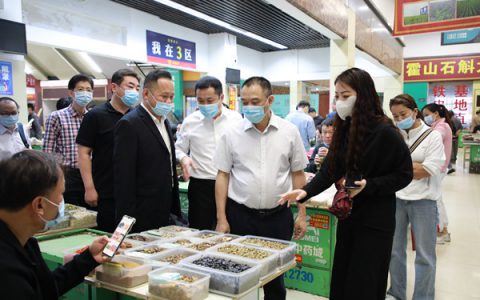 漳州片仔癀药业股份有限公司董事长林纬奇一行调研康美（亳州）中药城