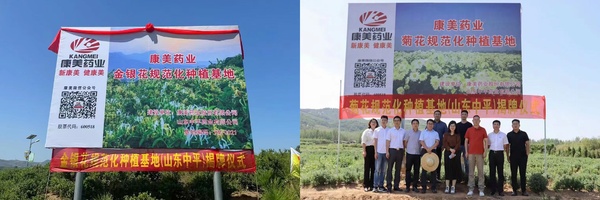 康美药业与山东中平药业有限公司开展中药材规范化种植基地合作