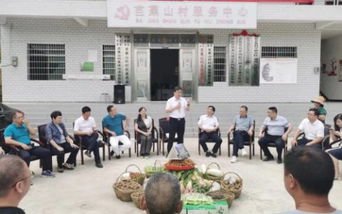 绿之韵参加省工商联“万企兴万村”新化调研