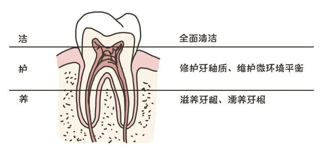 无限极编写的口腔健康科普书籍正式出版发行