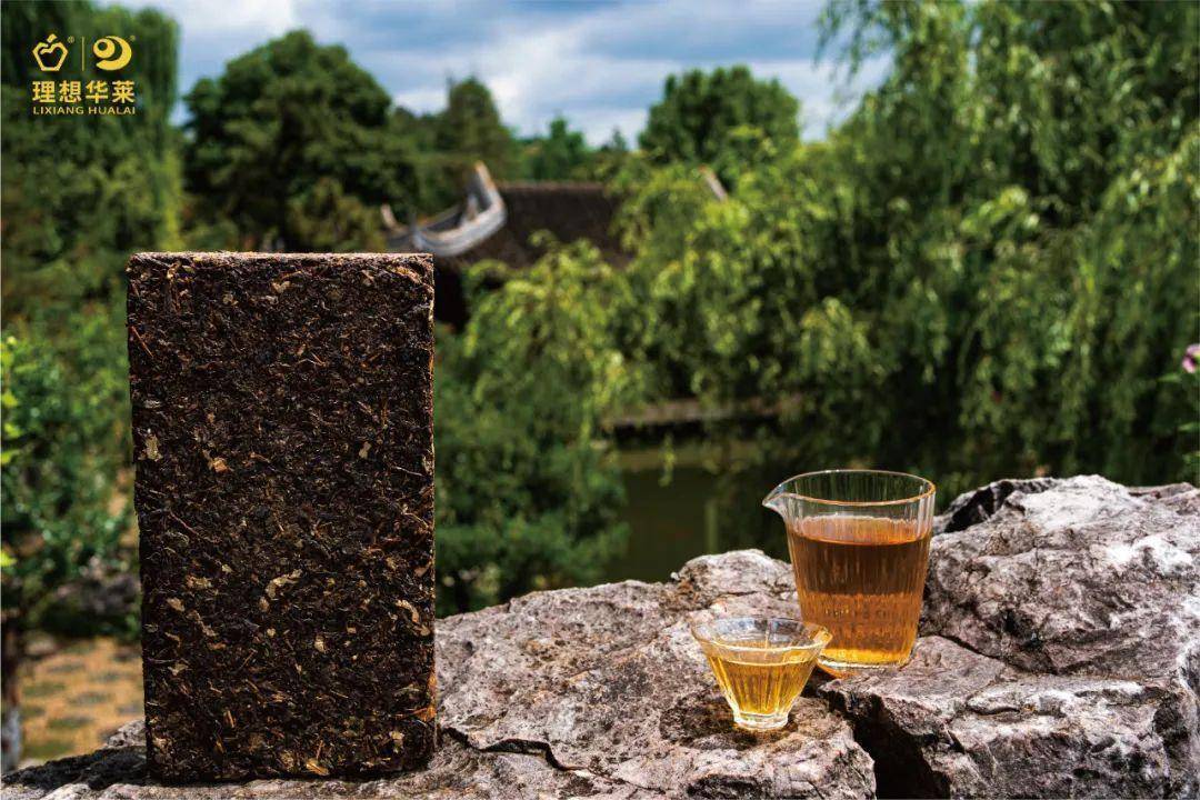 理想华莱：安化黑茶小简史丨备受喜爱的“私茶”与官茶